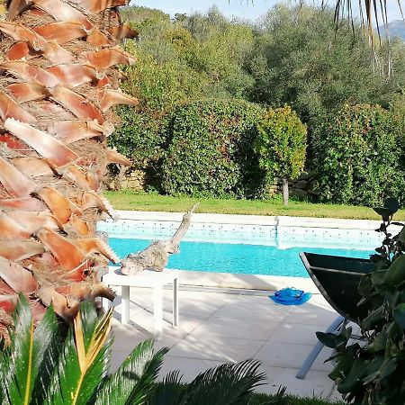 studio 5min plage agosta Albitreccia Exterior foto